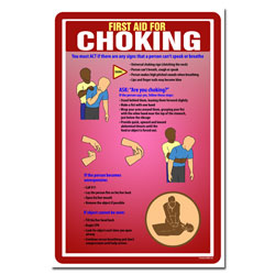AI-sp415 - Choking Safety Poster, Safety Notice Poster, Safety Reminder Poster, Safety Placard, Safety Help Poster, Safety Notification Poster