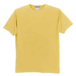 ai-va-t0270 Velocity Color Wash T-Shirt, Custom t-shirt, Eco Friendly t-shirt