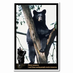 AI-PRG0011-BE1  Bear Energy Conservation Poster