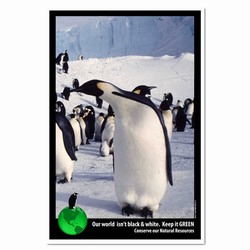 AI-PRG0011-PNGE1  Penguin Energy Poster