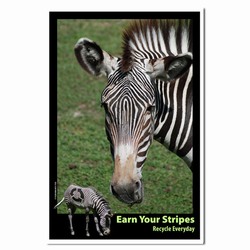 AI-PRG0011-ZR1 Zebra Recycle Poster