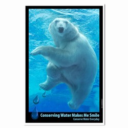 AI-PRG0011-PBW1 Polar Bear Water Poster