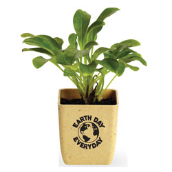 AI-rhpot004 - Flower Pot Grow Set, Recycling Incentive, Recycling Promotional Ideas, Recycling Promo Gifts, Recycling Gifts for Tradeshows, recycling ad specialties
